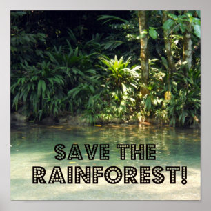 Póster Salvar a floresta húmida!