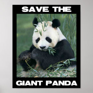 Póster Salvar a panda gigante