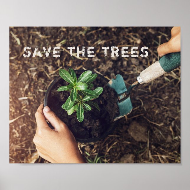 Poster Salvar As Árvores Plantio De Árvores Ambiental (Frente)