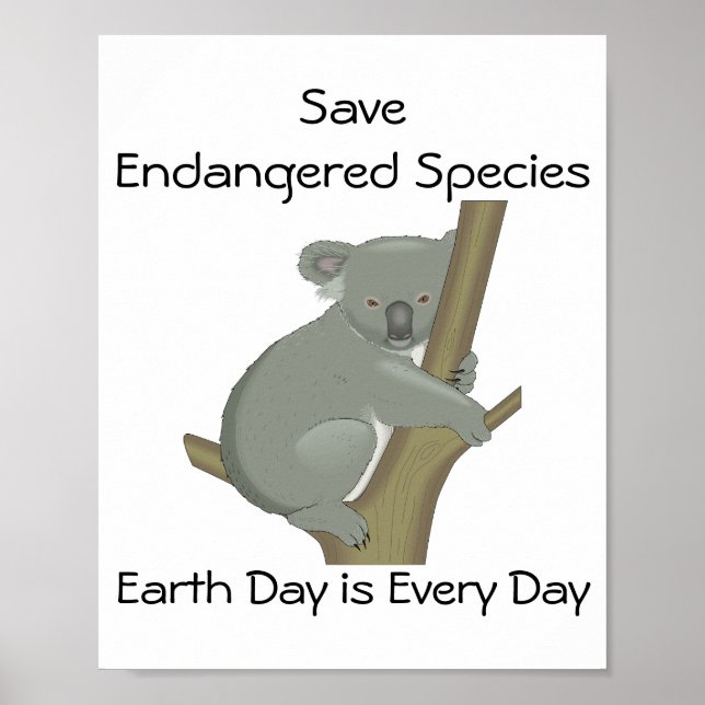 Poster Salvar espécies ameaçadas de extinção Koala (Frente)