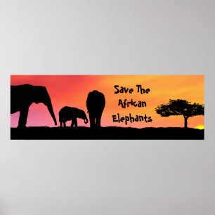Poster Salvar os elefantes africanos
