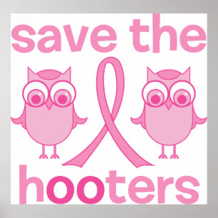 Poster Salvar os Hooters