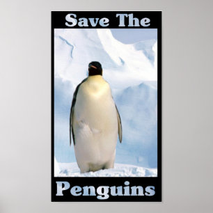 Póster Salvar os pinguins