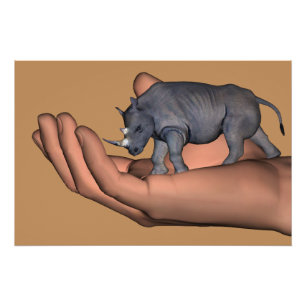 Póster Salvar os Rhinos!