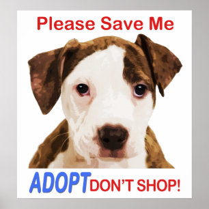 Póster Salvar que por favor me Adopt não compra