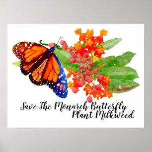 Poster Salve A Borboleta Monarca. Planta Milkweed.
