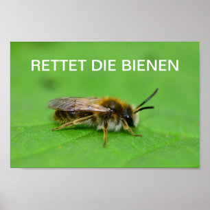 Poster Salve as abelhas