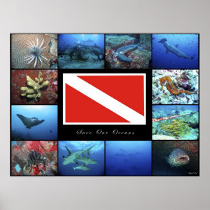 Poster Salve nossos oceanos