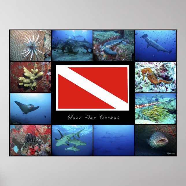 Poster Salve nossos oceanos (Frente)