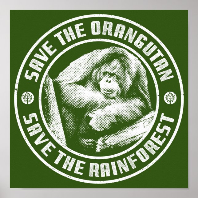 POSTER SALVE O ORANGUTAN SALVE A FLORESTA DE CHUVA. (Frente)
