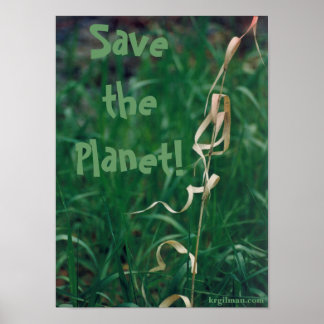 Póster Salve o Planeta! Pôster