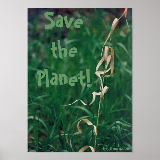 Póster Salve o Planeta! Pôster (Frente)