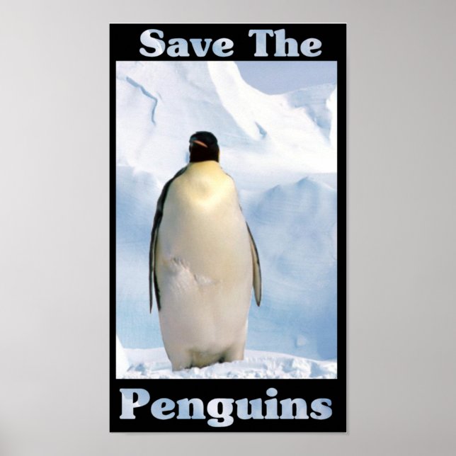 Póster Salve os pinguins (Frente)