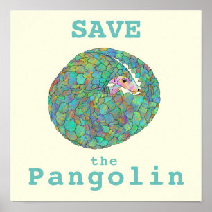 Poster Salve Pangolin Animais Coloridos Ameaçados