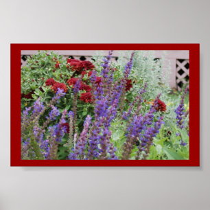 Poster salvia e mães