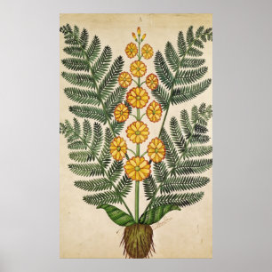 Póster Samambaia com flores amarelas