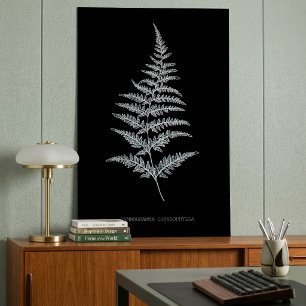 Poster Samambaia Dourada, Gymnogramma Chrysophylla