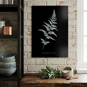 Poster Samambaia-dourada-jamaicana, Gymnogramma Sulphurea