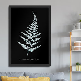 Poster Samambaia - Gymnogramma L'herminieri. Efeito de ra