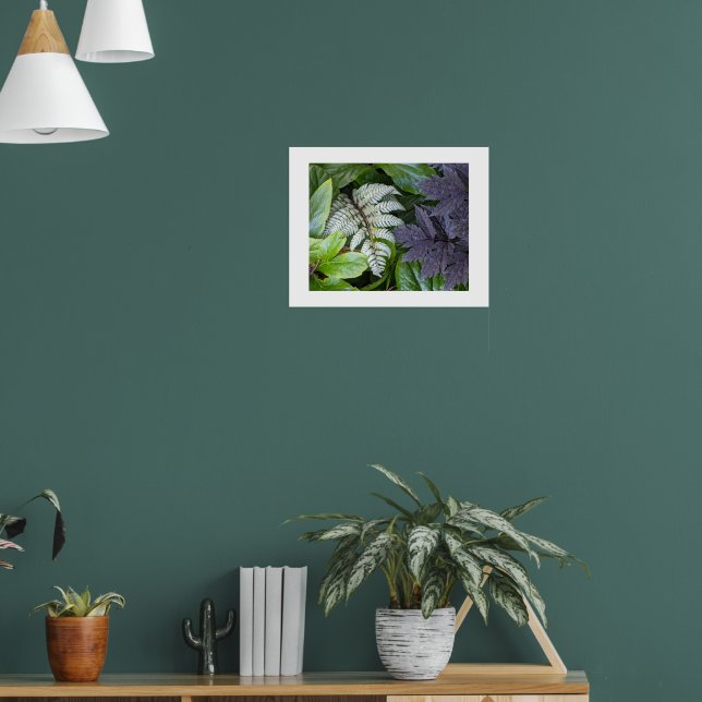 Poster Samambaia Pintada Japonesa e Fotografia Foliar (Sala de Estar 1)
