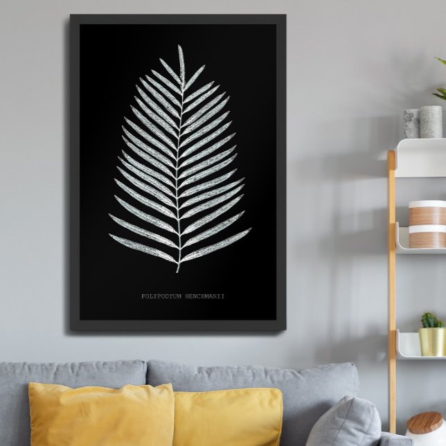 Poster Samambaia - Polypodyum Henchmanii - efeito de Raio (Criador carregado)