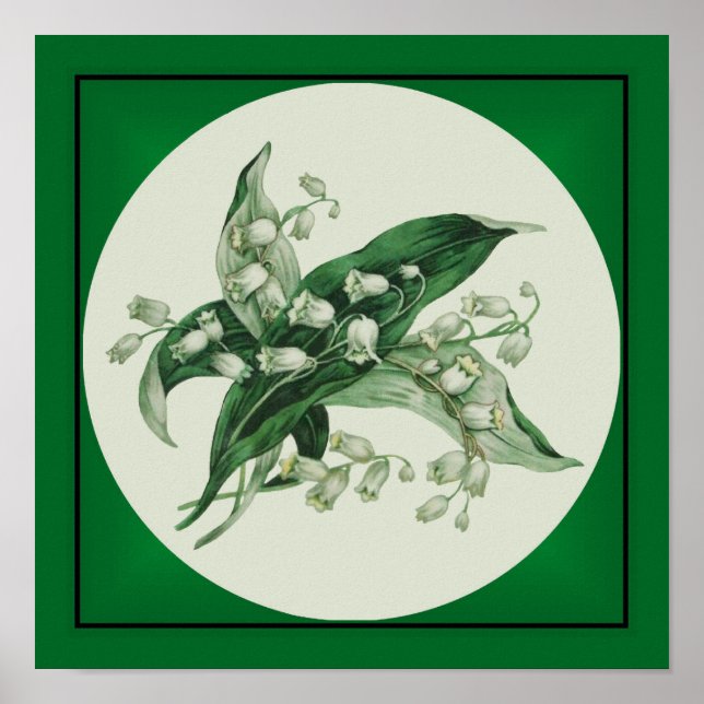 Poster Samantha Lily 1 (Frente)