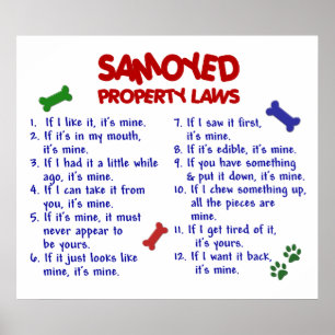 POSTER SAMOYED PL2