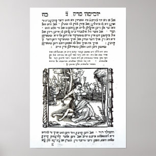 Póster Samson e Delilah