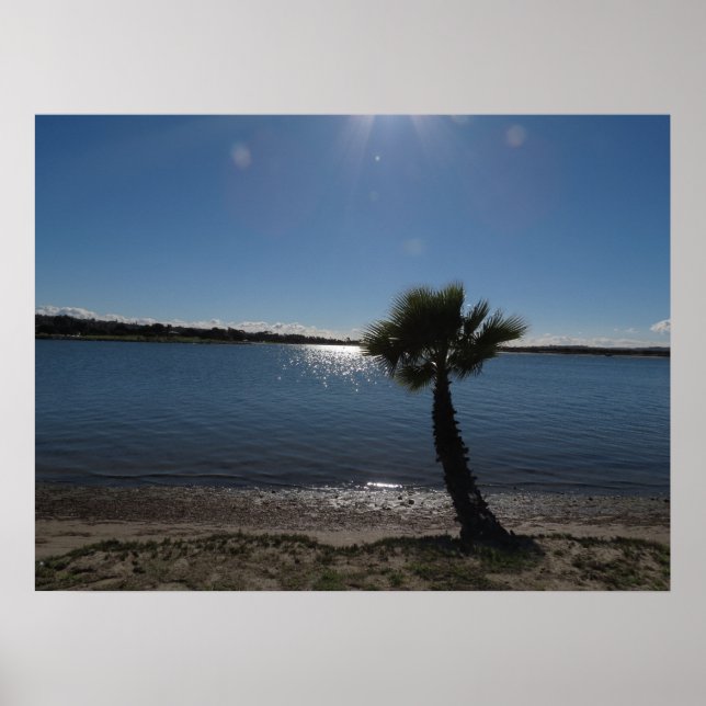 Póster San Diego Morning na praia. (Frente)