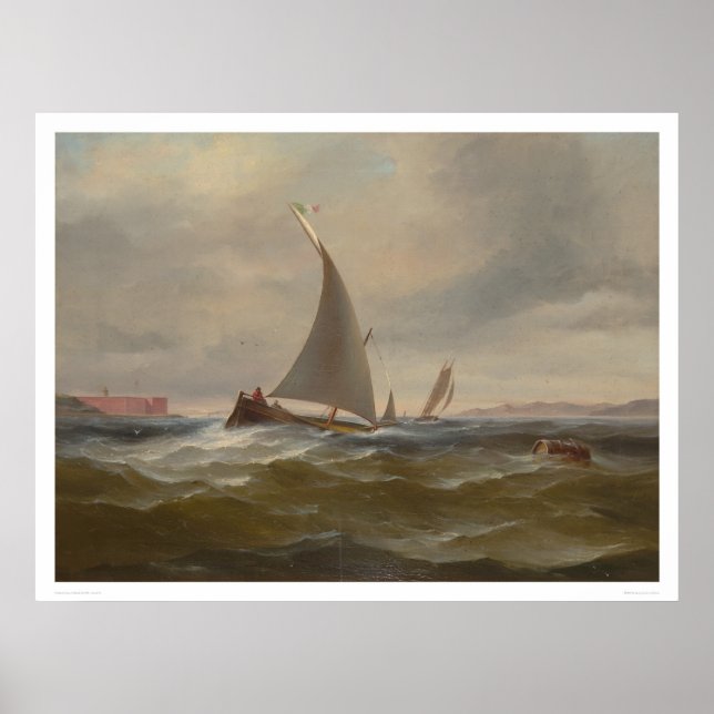 Póster San Francisco Bay Felluca (1314) (Frente)