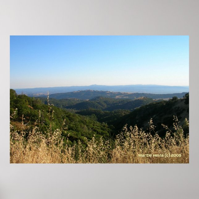 Póster San Jose Foothills Grama seca (Frente)