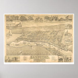 Póster San Pedro, mapa panorâmico 1895 do CA (1319A)