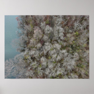 Poster Sanatoga Woods Schuylkill River PA