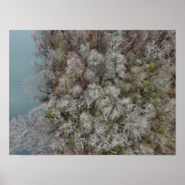 Poster Sanatoga Woods Schuylkill River PA (Frente)