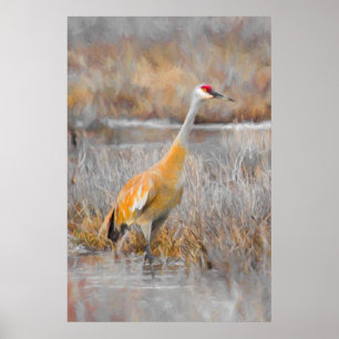Póster Sandhill Crane