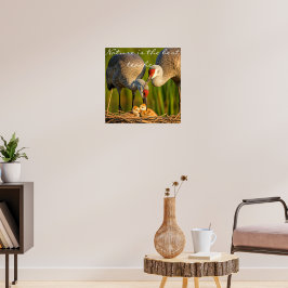 Poster Sandhill Cranes cuidando do seu jovem Muro Déco