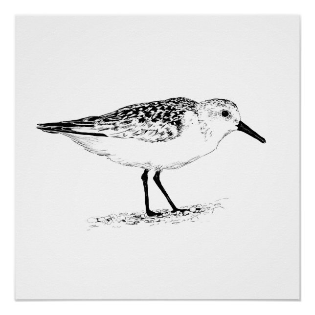 Póster sandpiper monochrome print (Frente)