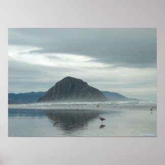 poster - Sandppers na Baía Morro