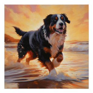 Póster Sandy Paws Bernese Mountain Dog em Beach Sunset