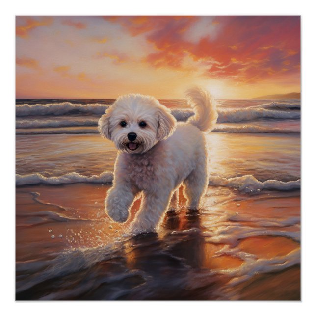 Póster Sandy Paws Bichon Frise Dog em Beach Sunset (Frente)