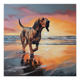 Póster Sandy Paws Bloodhound Dog em Beach Sunset