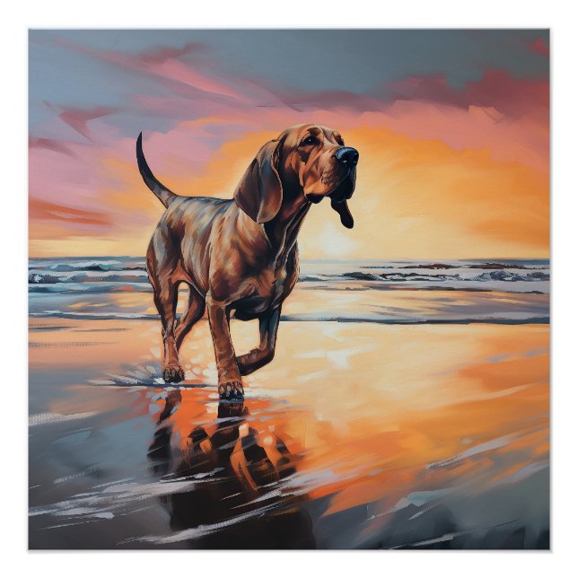 Póster Sandy Paws Bloodhound Dog em Beach Sunset (Frente)