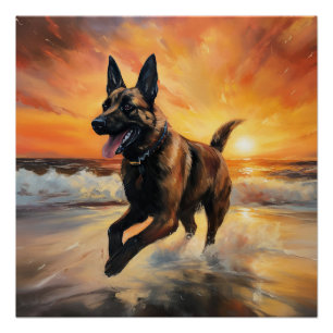 Póster Sandy Paws Cachorro Malinois Belga em Beach Sunset