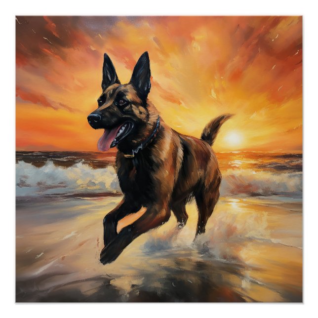 Póster Sandy Paws Cachorro Malinois Belga em Beach Sunset (Frente)