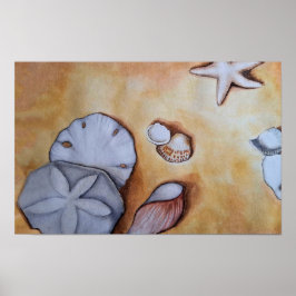 Poster Sandy Seashells