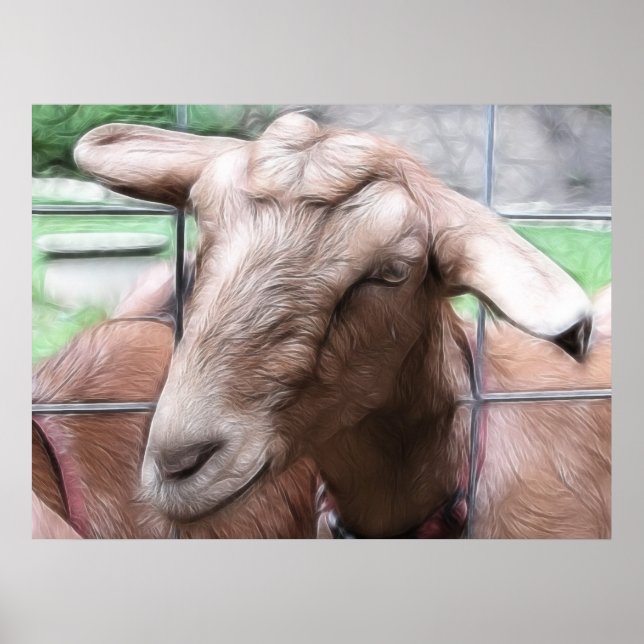 Poster Sandy The Goat Na Porta (Frente)