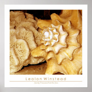 Póster Sandy Treasures do Mar