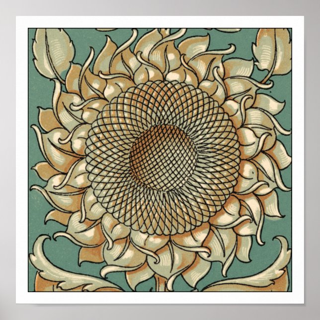 Póster Sangue de girassol em fundo azul-esverdeado (Frente)