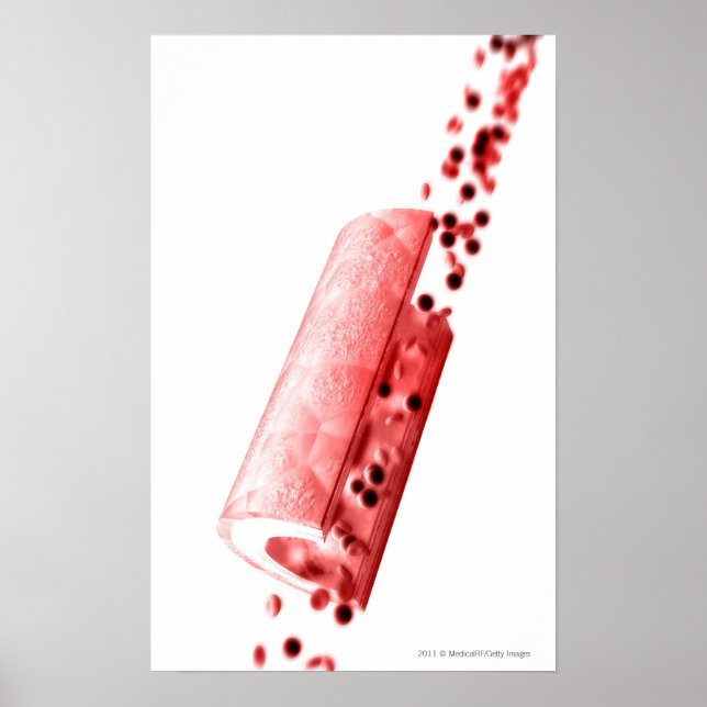 Póster Sangue fluindo pela artéria (Frente)