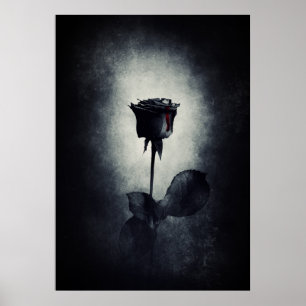 Poster Sangue Macabre de gotejar com Rosa preto gótico